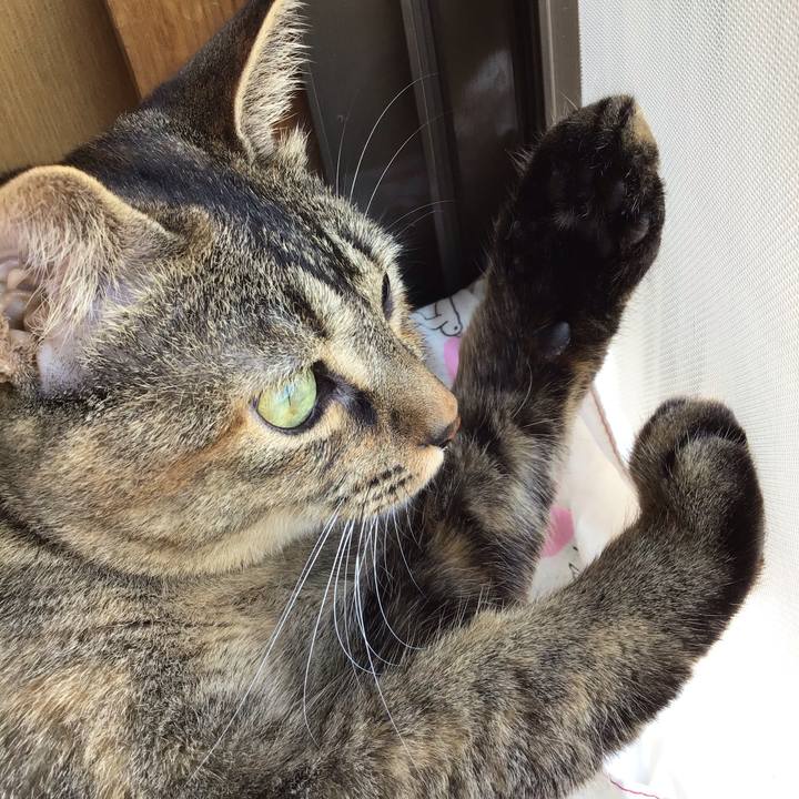 F6119004 b1ba 4b9a bd3d 98bc06c595e0 1596195374611