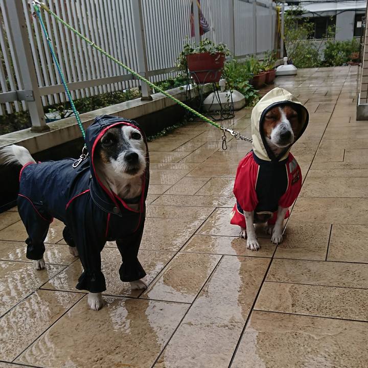 F6119b41 c13a 4e95 81c9 9a24d50cb90c 1602209722856