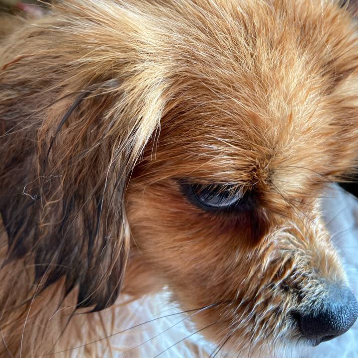 F611f5e2 09a0 41cb bf55 7a1d3f6bac76 1577754230441