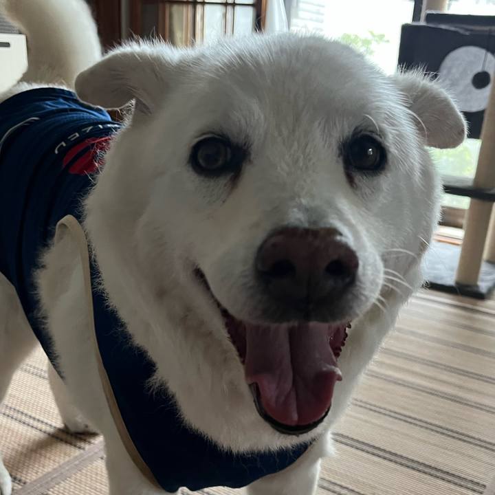 F6121021 5c15 4de3 affc 60ad15bbdbdc 1760655968867