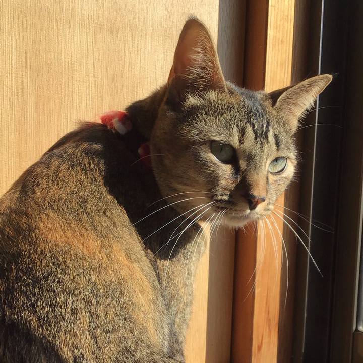 F612102b 7be2 4212 a322 1e4be09fb565 1605335802938