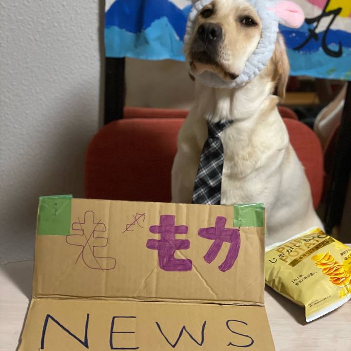 F61239b2 a912 4b89 a8de e506cf9e6212 1654520633351