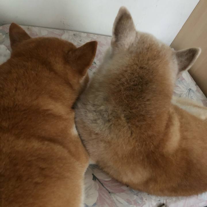 F612665e a922 478c 8835 0ad690788a4c 1600398149516