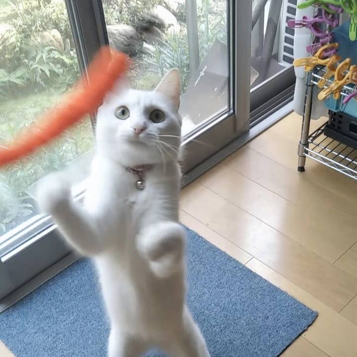 F61296b5 4682 4dfd bca6 6218fa80bd1d 1626387091113