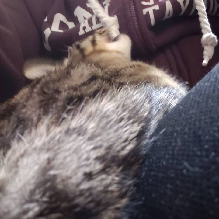 F612ac58 c966 4a08 aa9e e953a59d88bc 1547544884490