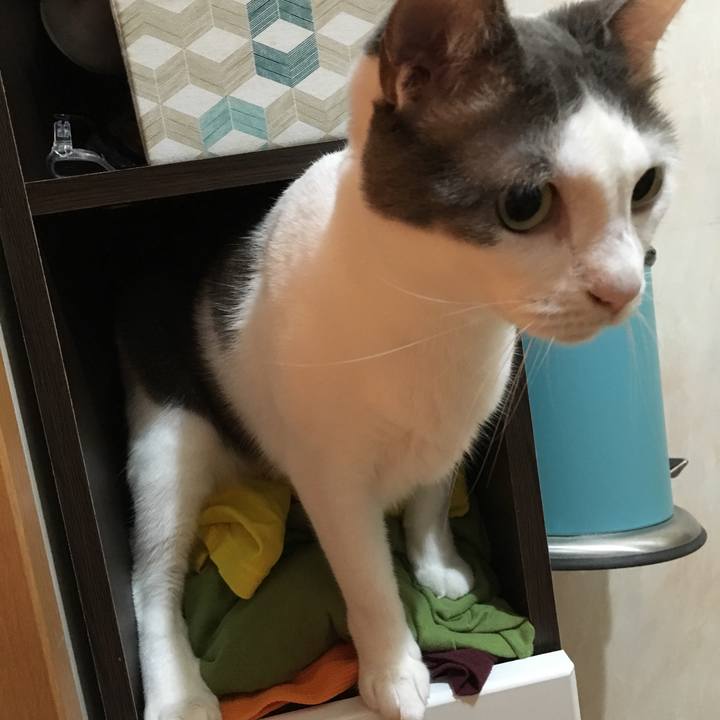 F612b47e a4be 4705 bdc2 8de1df0dc6f9 1530915943992