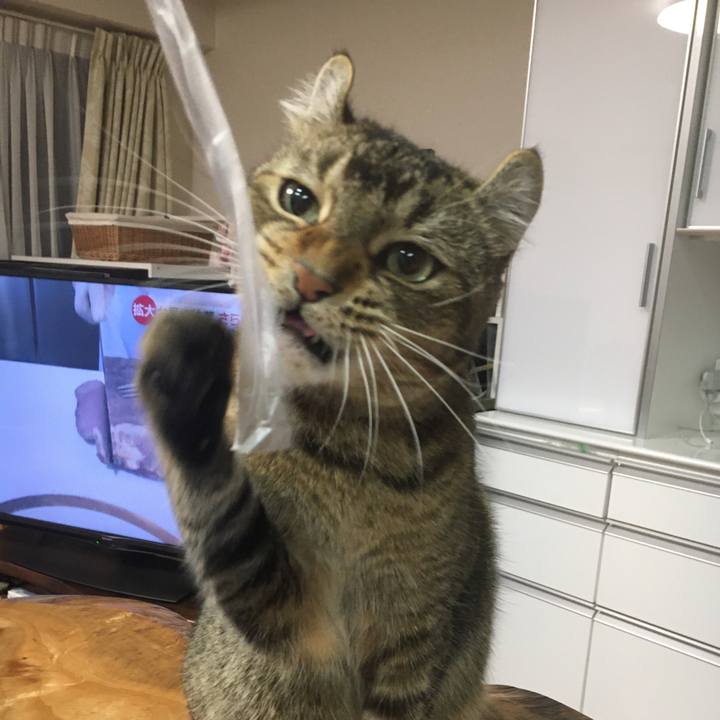 F612b79e 4429 43bf 8411 5520a497a3d6 1606122449565