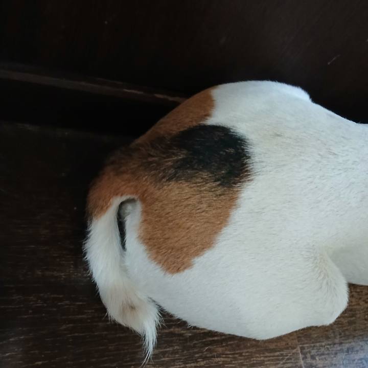 F61308b3 f8a7 46c0 ae3d e78ffb81f849 1753963705094