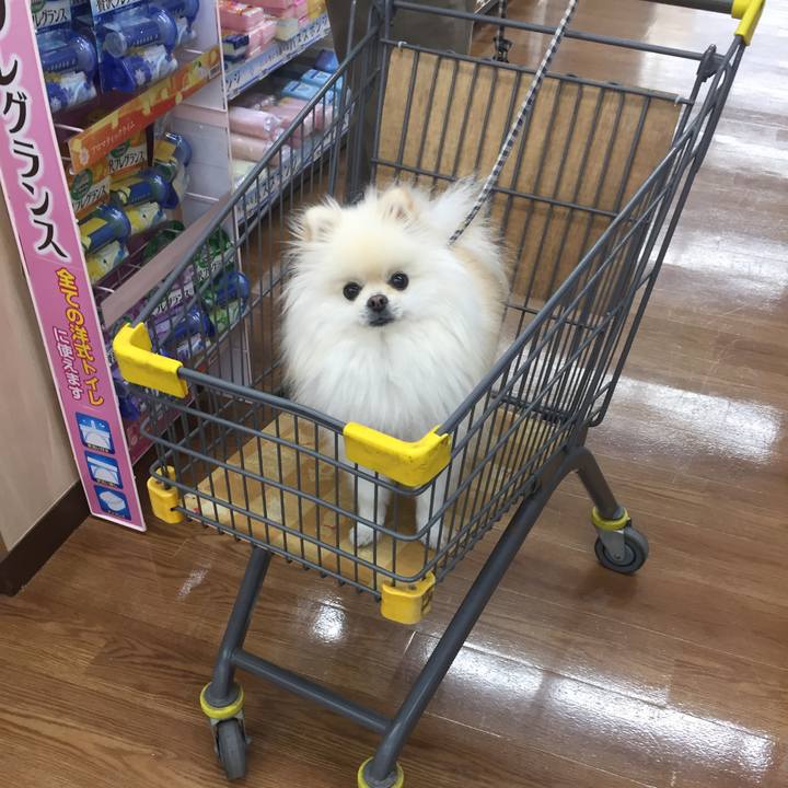 F61343b0 6c3d 40d1 9694 388511f97cb8 1541278237296