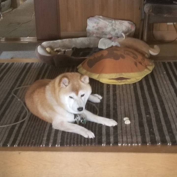 F6134597 689e 4ef7 9762 69a3115c49bb 1657669619287