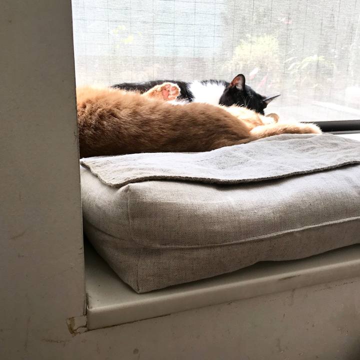 F6135d4c 5cb0 44bf 8544 f903fcf5d9c7 1509682470266