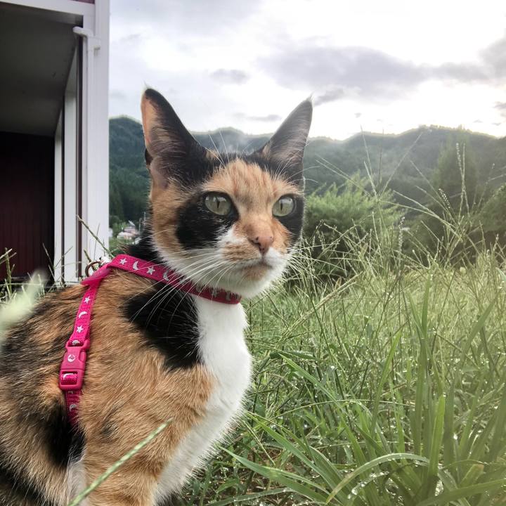 F6137504 6577 42d0 890d e59813aed375 1599690304238