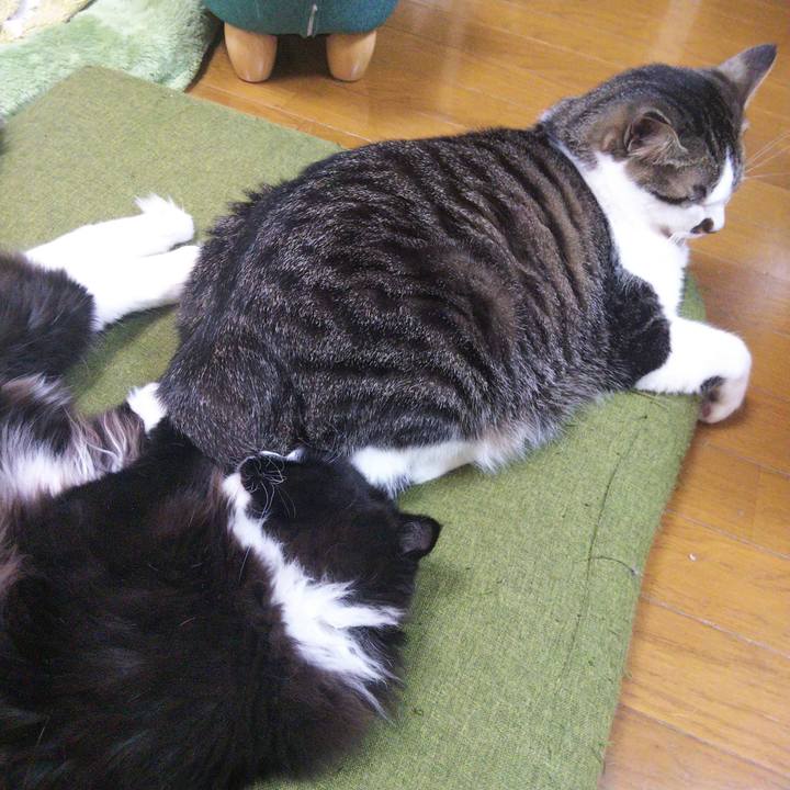 F613cf9b 83ea 4301 82eb 2d6004a6d6f3 1650614698888