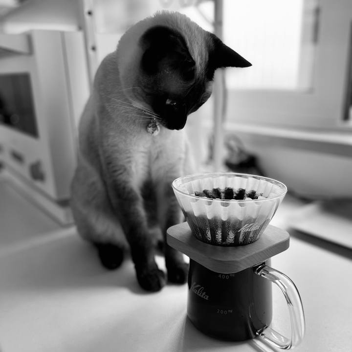 F613eccf e0da 43fc baba b146076d9190 1723939674450