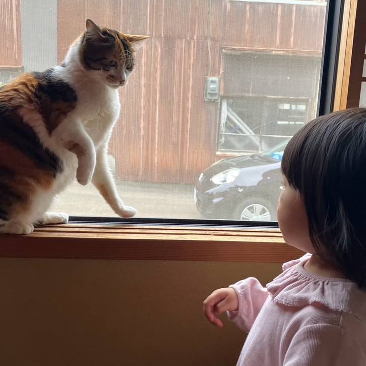 F613ee0e 05bb 4252 bbf3 196cba04780c 1715744384853