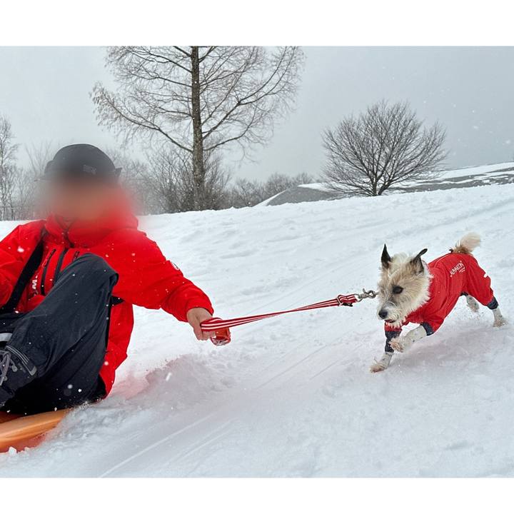 F613f449 7170 45c9 b324 17eb5f93aa7a 1769780697648