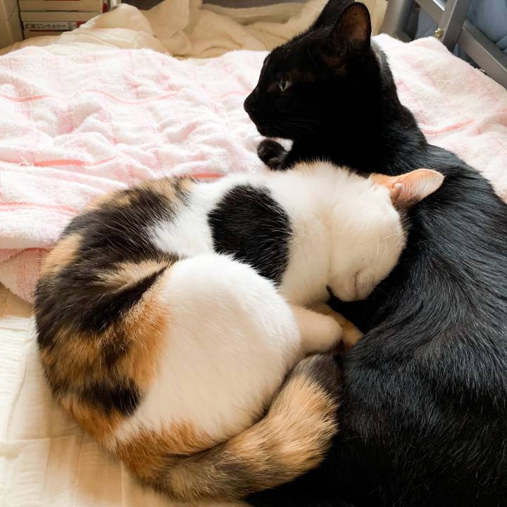 F614131d 0430 42be bfe9 f3869c86c3d7 1576028570629