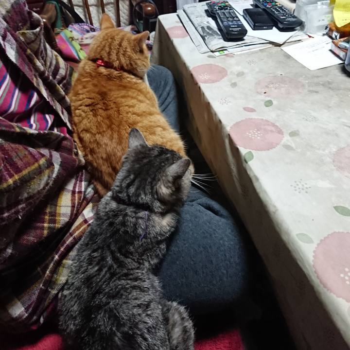 F6141eb3 d632 4bd8 a8b6 7a1048e65566 1579295683361