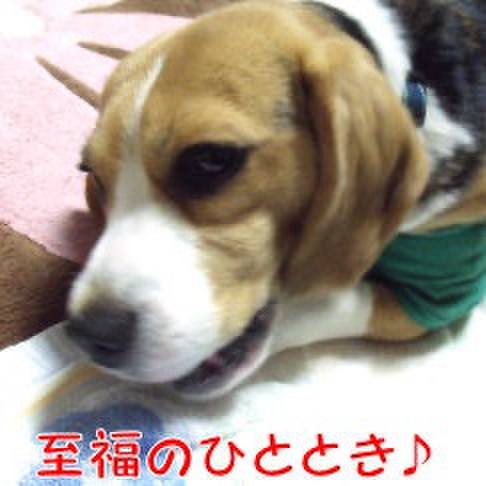 F6142c88 f688 4225 946d e6564937ce74 1710463682759