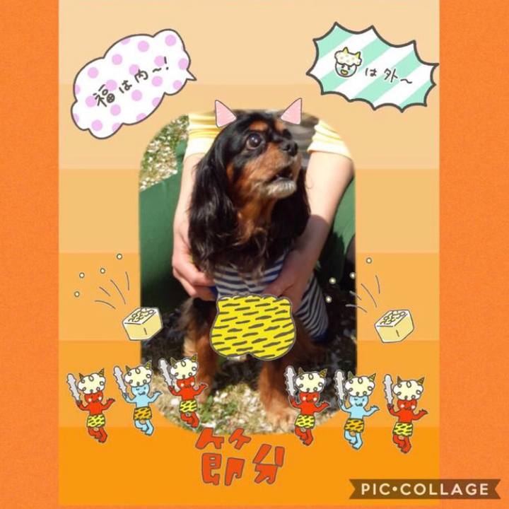 F6143870 fd53 46f7 a56a 5a7fd320617d 1612246987887