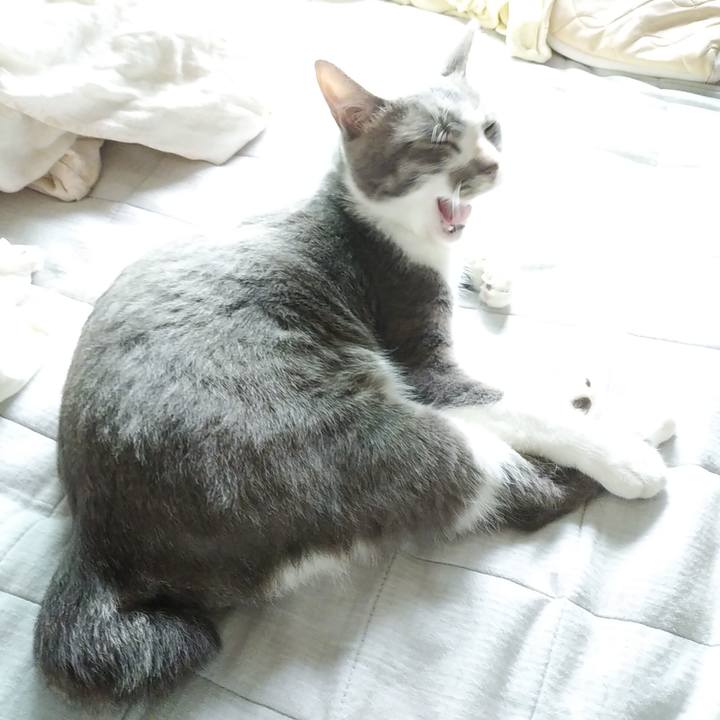 F614579b 17ca 4510 9ddb b55effbd2023 1594970381365