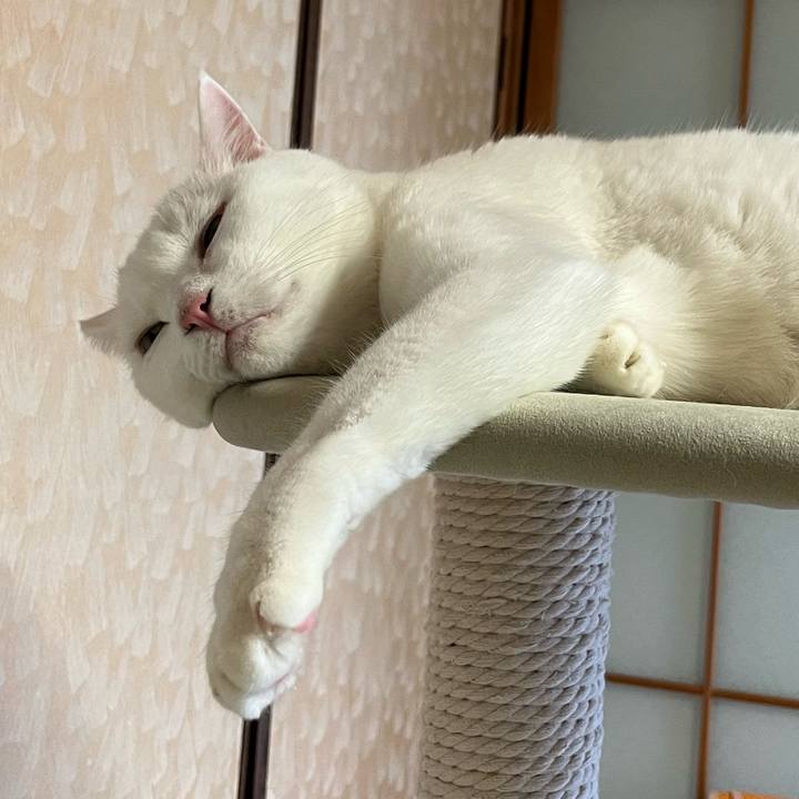 F614829d d8f6 4242 86c5 10c419e918fb 1693915626479