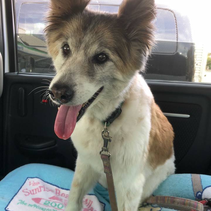 F614a351 a663 4dde b427 f16bf43cca8f 1534574825232