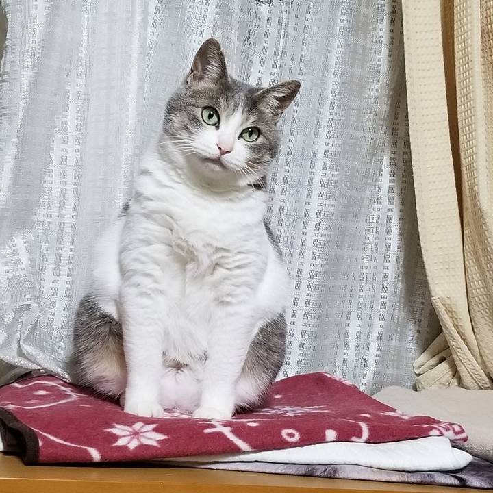 F614bdb3 674b 4704 b8d4 8beb0a0fa5aa 1652279461194