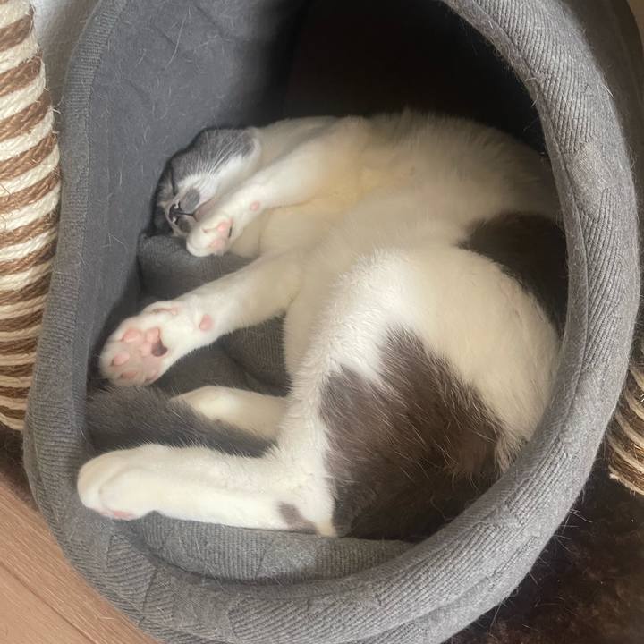 F614e52a 2e7b 4e71 96d7 7178e829692b 1665881181760