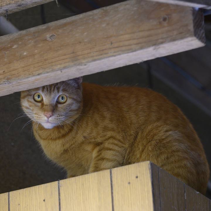 F614f067 a237 4d2e 9097 6c00e9e1d389 1557010780026