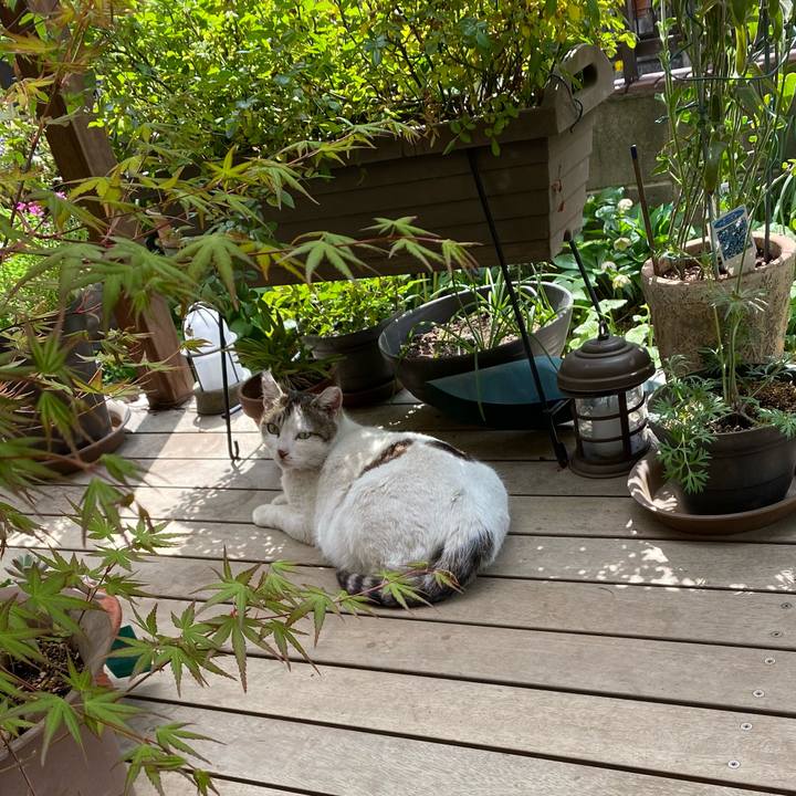 F614f252 6387 4e46 9298 2154c476de21 1617420273965