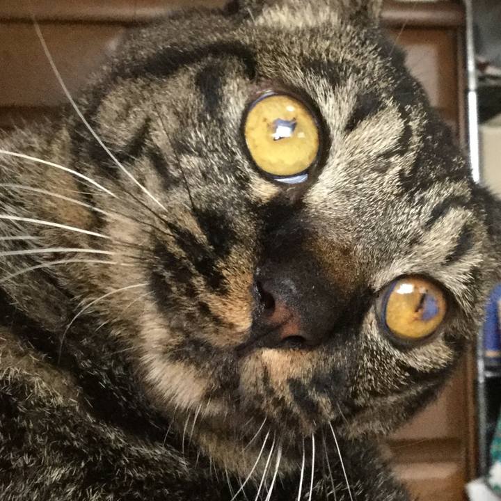 F61515a7 f099 462e 83c7 599ad836fb6d 1593779288549