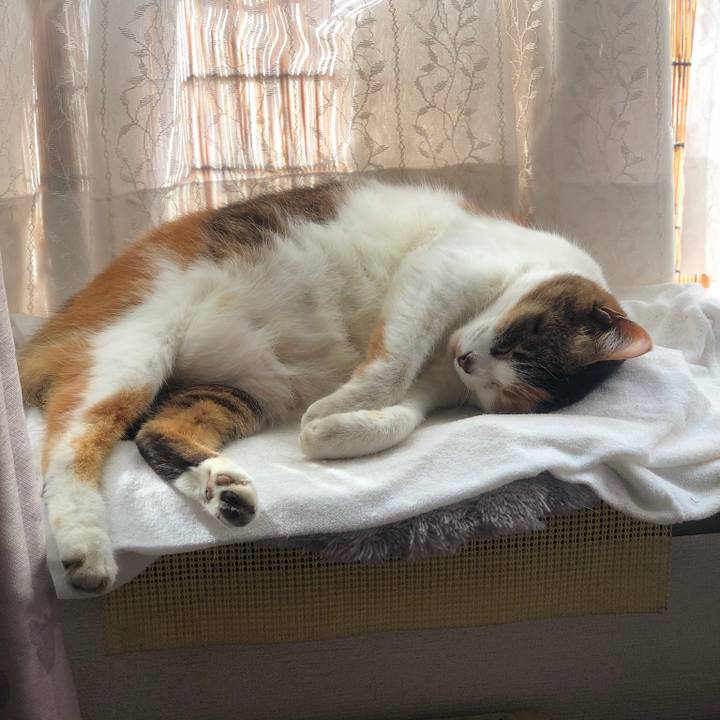 F615541e 0dc5 484e 8ef5 b72c7d58be89 1558169868179