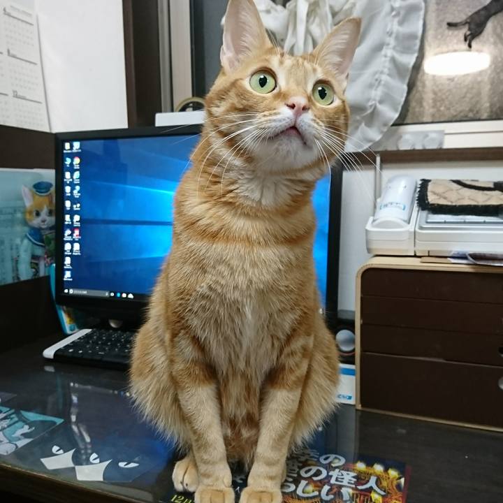 F6155cd7 4e25 4e8d a78c c8b0068fc350 1515760277545