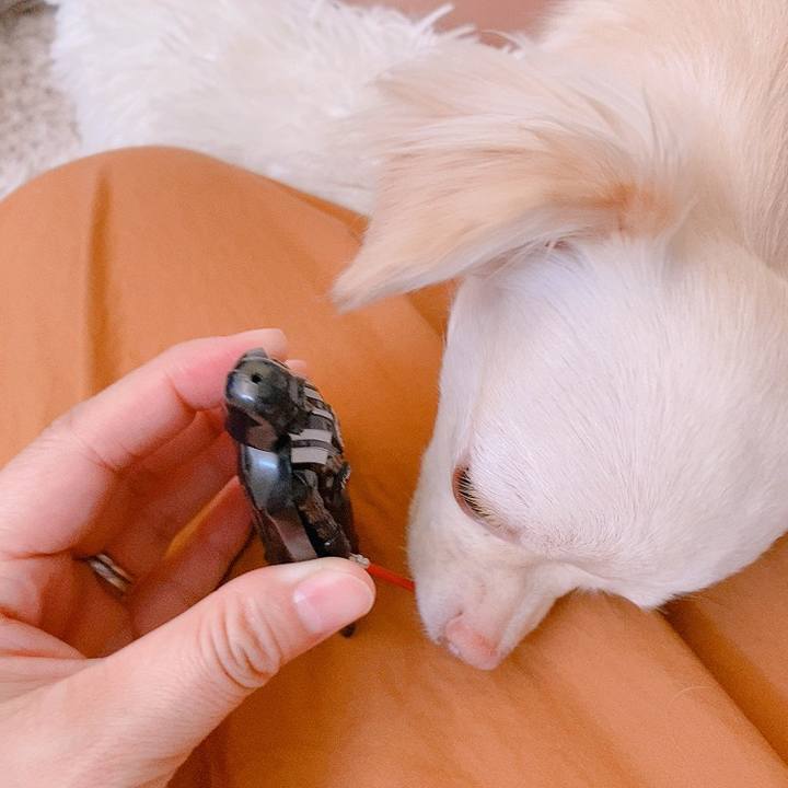 F6155e42 c4ad 4c57 9570 daf89356b344 1625371089456