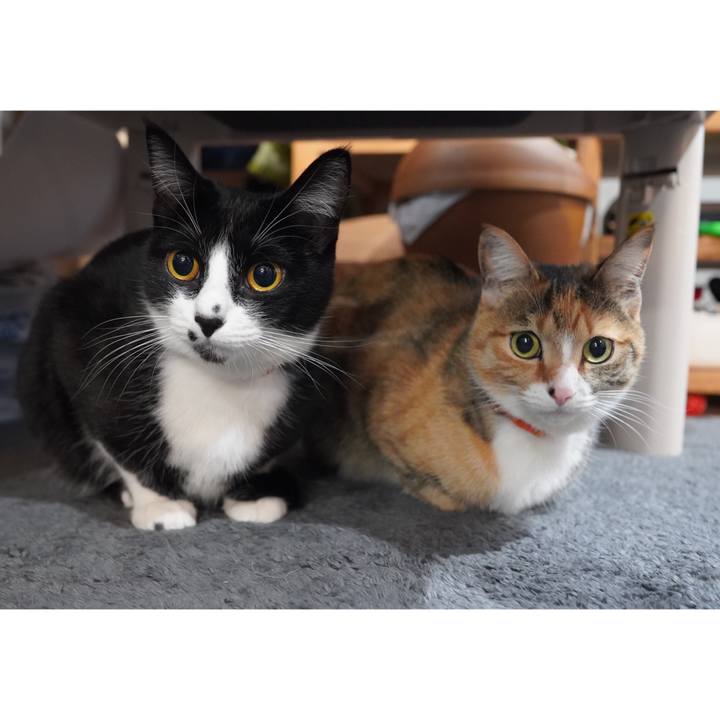 F61563f3 0c27 4c43 a139 d1961cafc670 1615296275664