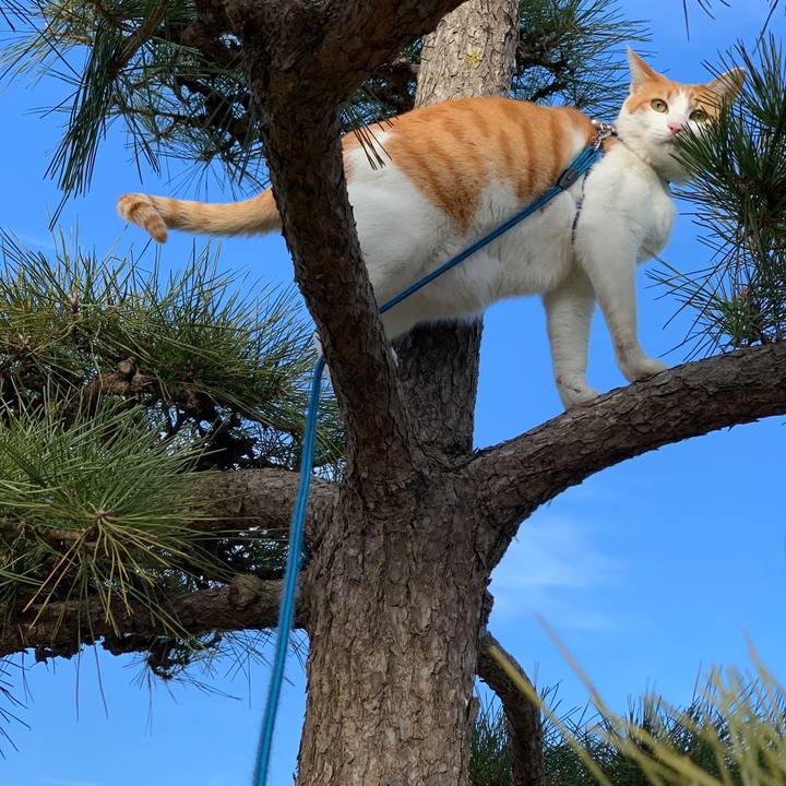 F6158292 f508 4c66 960e 062b04b32957 1581487765706