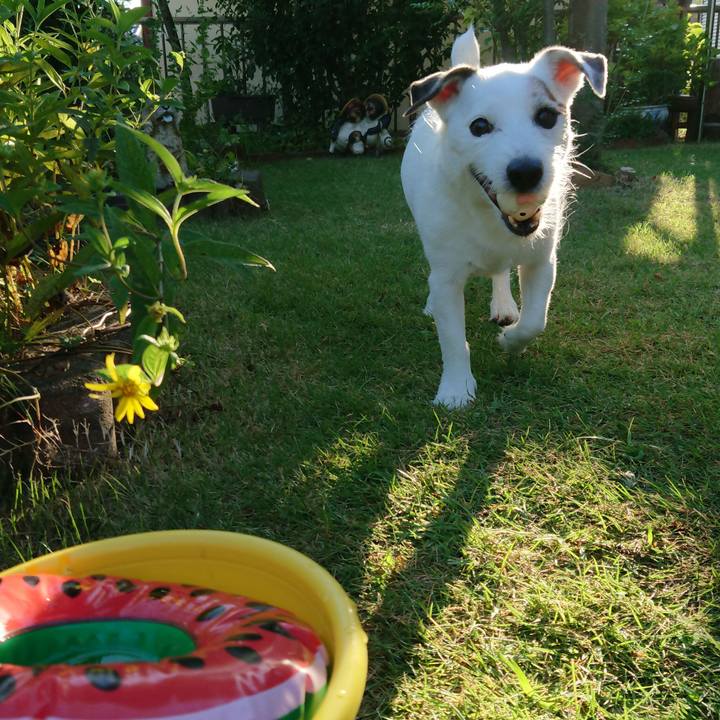 F6158572 b9f3 42d5 8a80 d3afe68dc601 1535325896187