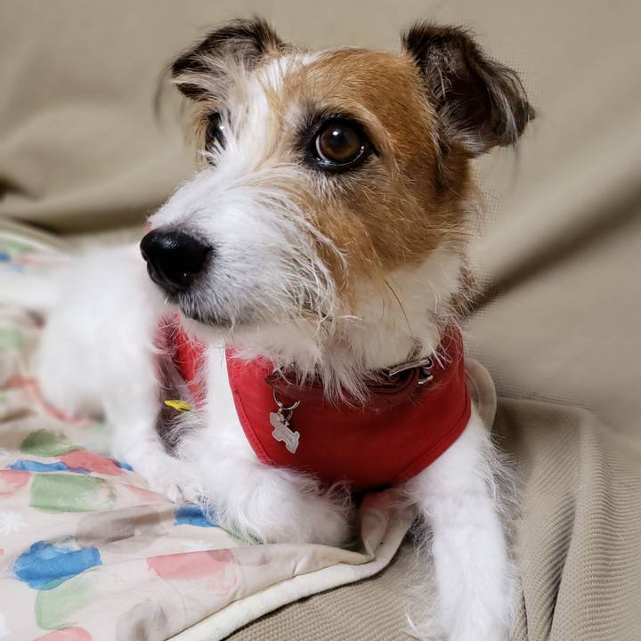 F61599fc 336e 43cc 9532 c13655033600 1762931584960