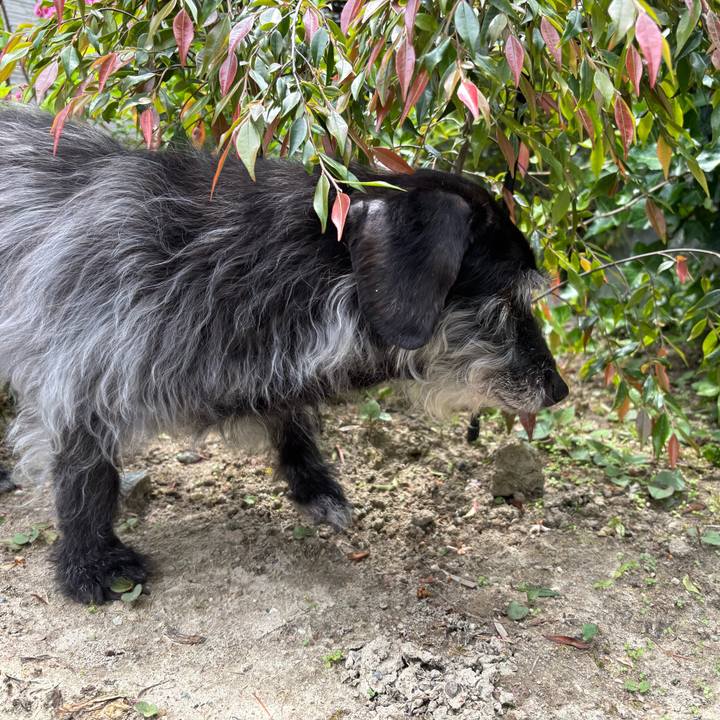 F615a532 ff4a 4897 9ae5 f4cf54b80202 1749077783542