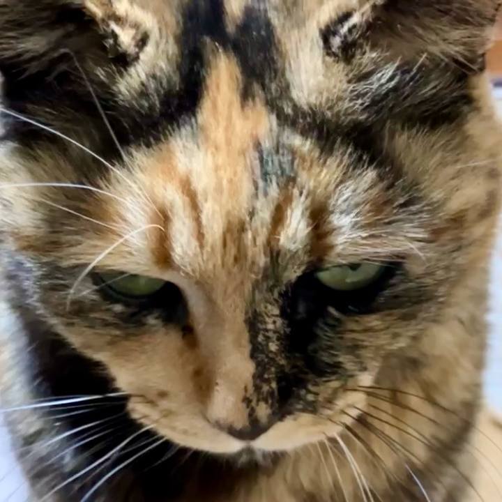 F615c09d c898 42c1 b99e 67d1bfda5173 1739819381812