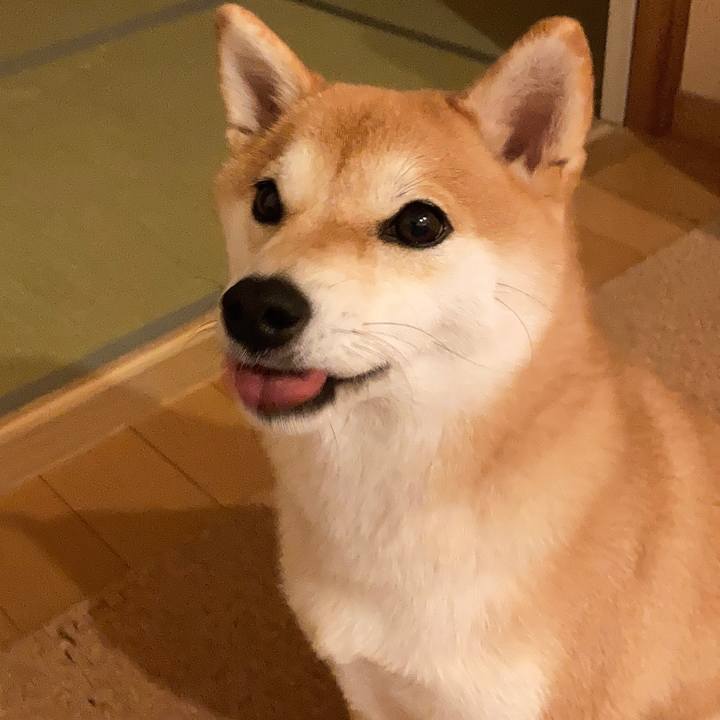 F615c430 e540 4038 9bc2 b87bffcbb052 1694729818658