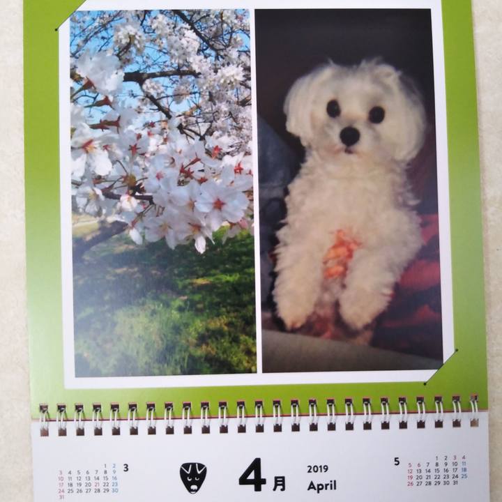 F615fd4a 7cd4 4753 a91b 506db51da58d 1554182517116