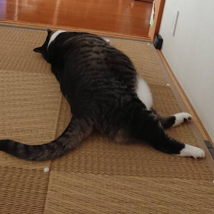 F6162734 39c7 4cea ad4b 4674a9a71dee 1528636184555