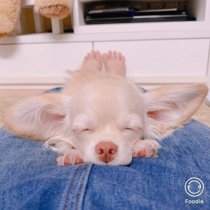 F616317f b3bc 4a54 90a2 bbc179132e6f 1599459502611