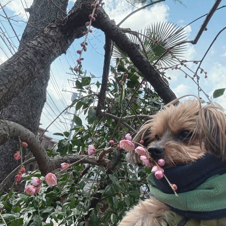 F6169833 218d 42e1 af5e 766c9a0cdd9a 1738642811506