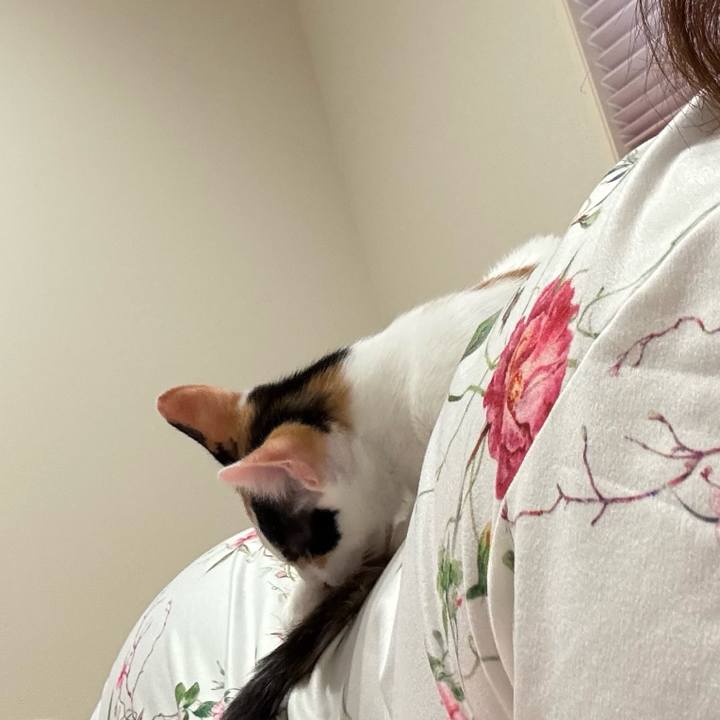 F616d01d 2a35 4dab 9192 b8d7e6eff30a 1758026127745