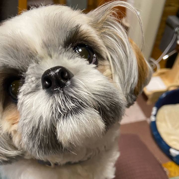 F616d0ce 2d04 445c 9cf7 dd3f1a382cb1 1667303350262