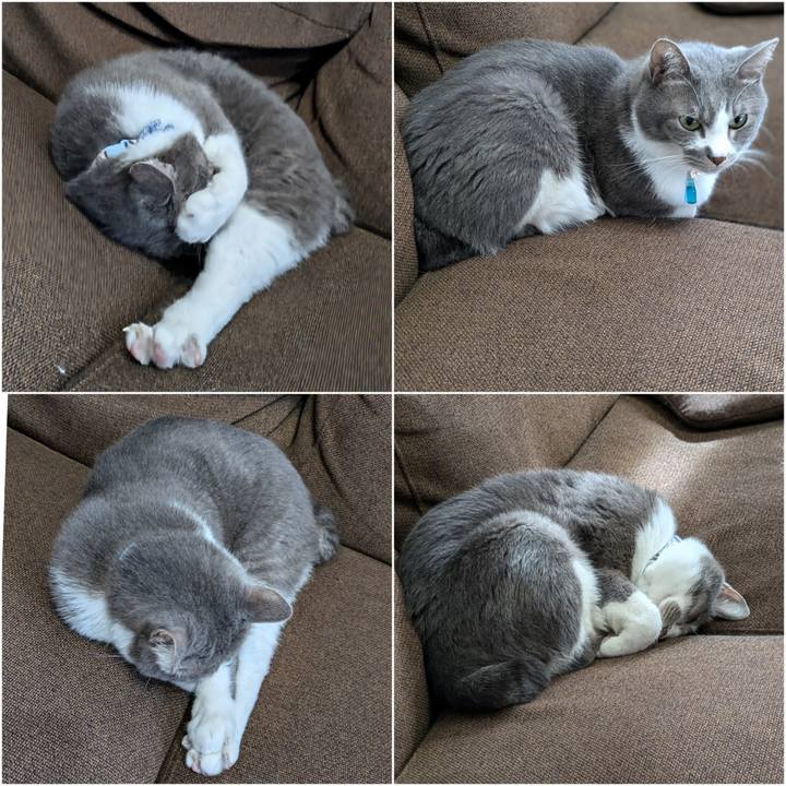 F616ecde e45f 40f0 bb78 bcfa1c344c95 1729570711433