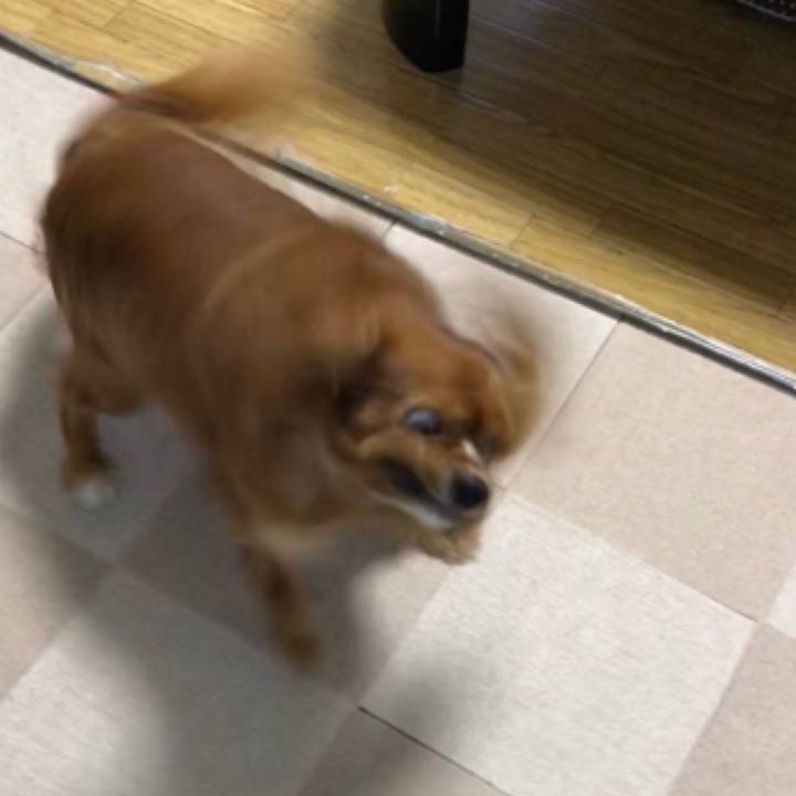 F6171254 a8f6 4f56 93dc 9d26aa97a1fe 1538214919640